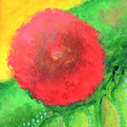 ハイビスカス胸中